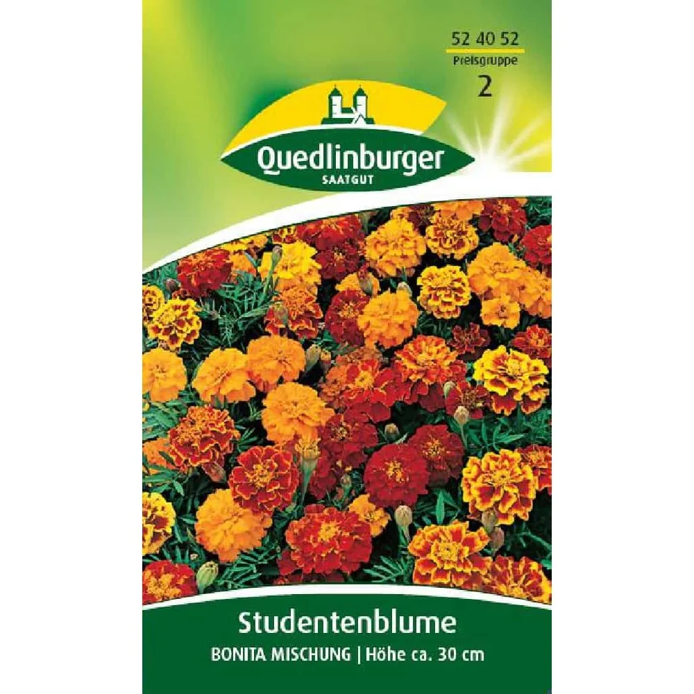 "Studentenbloem ta Mengsel, Bloemenzaad image"