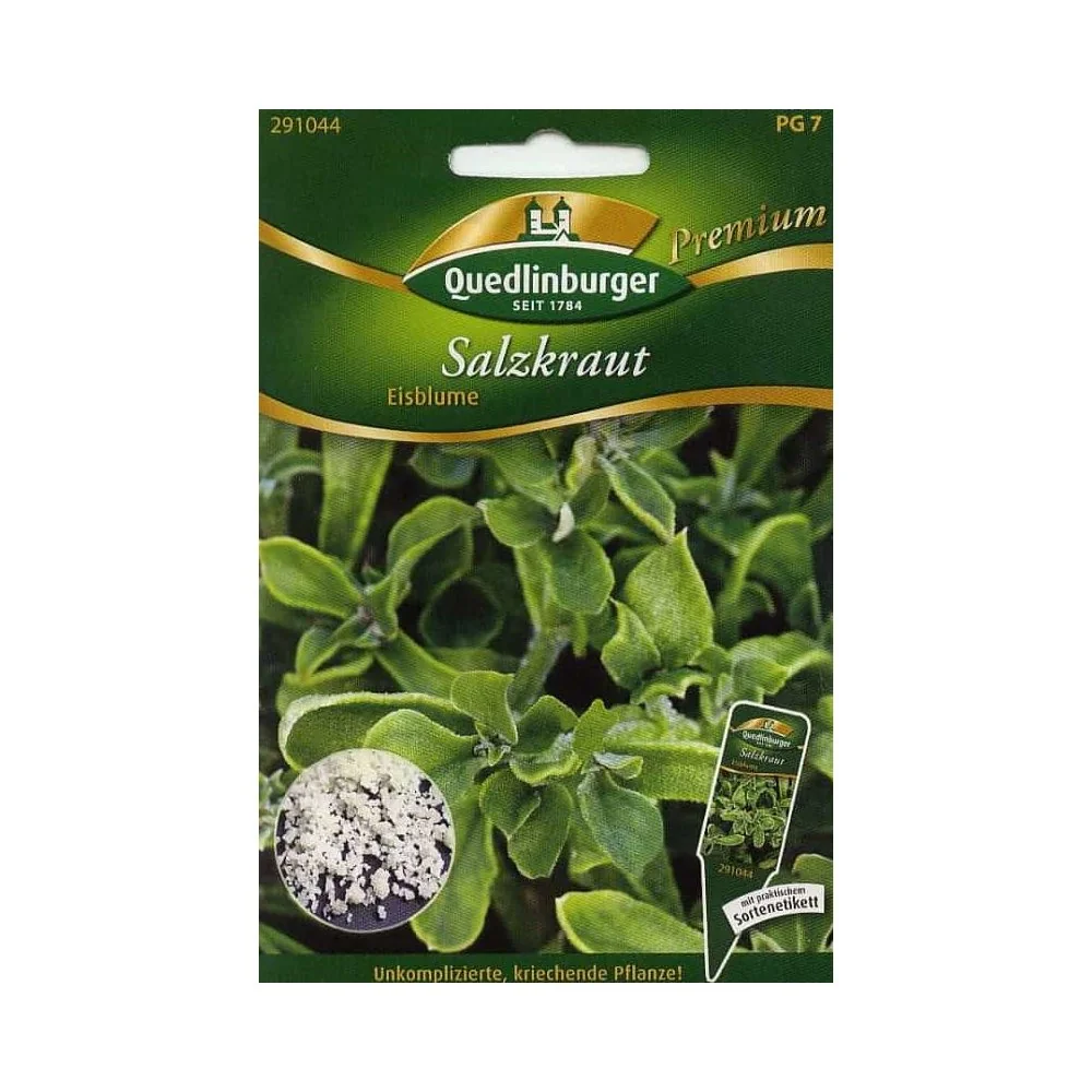 "Salzkraut & Eisblume kopen: Zaden voor een Essbare Plant image"