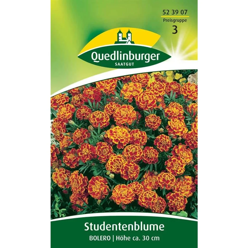 "Afrikaan, Bolero image"