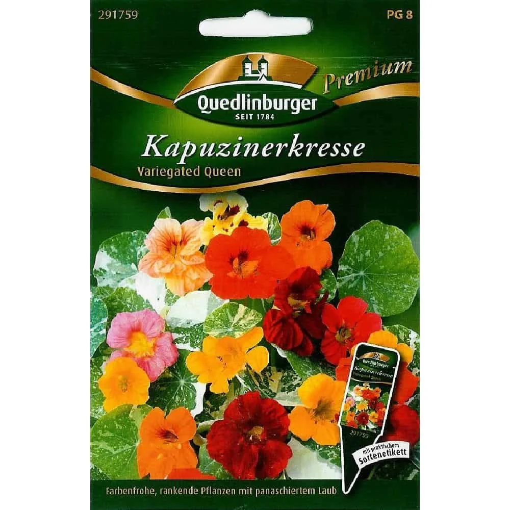 "Kapucijnerkers zaden, Variegated Queen, Eetbare klimplant van Boni-Shop image"