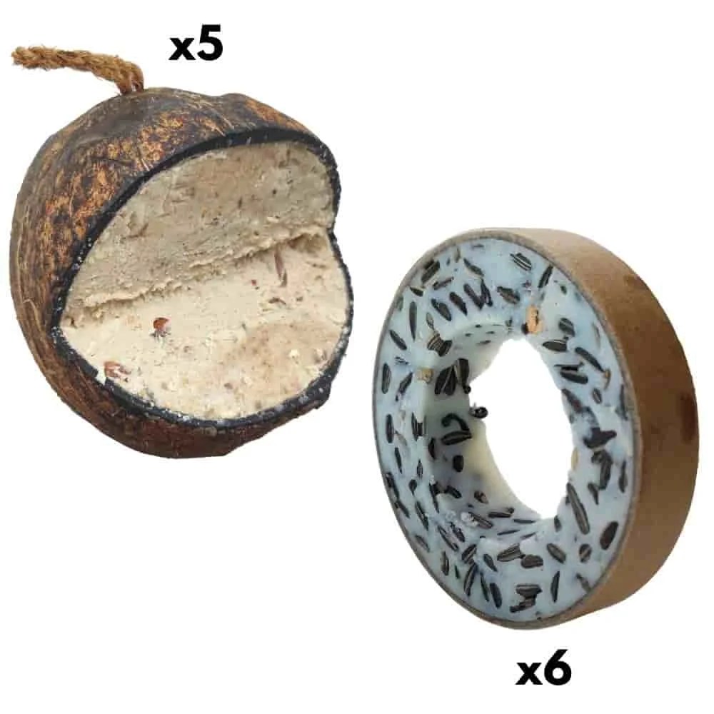 Vogelvoer Set: Mezenringen & Kokosnotten - All Season Voeding