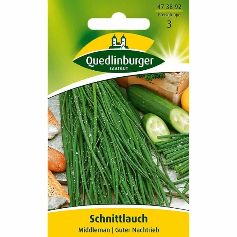 "Schnittlauch Kopen: Meerjarig, Aromatisch & Gemakkelijk te Planten image"