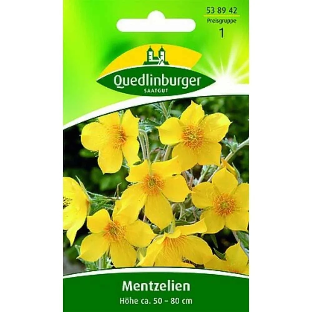 "Goudster Zaden: Mentzelia Lindleyi voor een Geurige Tuin image"