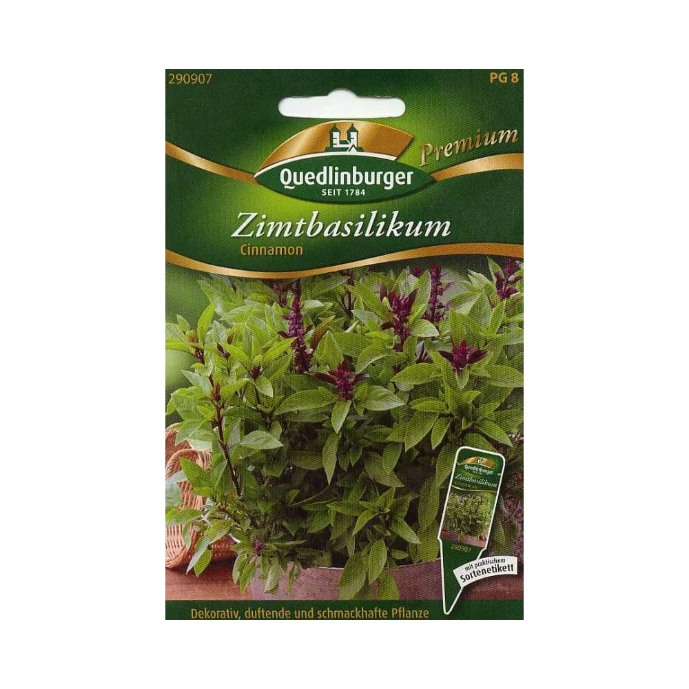 "Kaneelbasilicum: Plant, Zaden & Verzorging image"