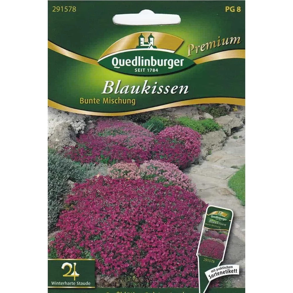 Blauwkussen - Bunte bodembedekker voor uw tuin