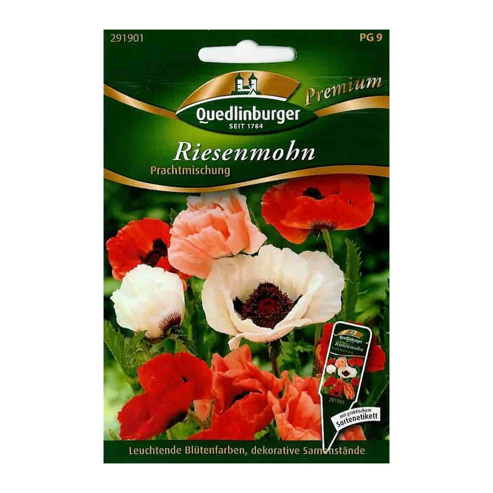 "Riesenklaproos Prachtmix: Meerjarige Zomerbloeiers voor uw Tuin image"
