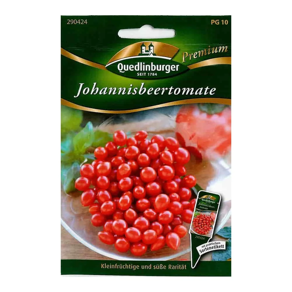 "Johannisbeertomaat planten kopen - Wilde tomaat, snoeptomaat image"