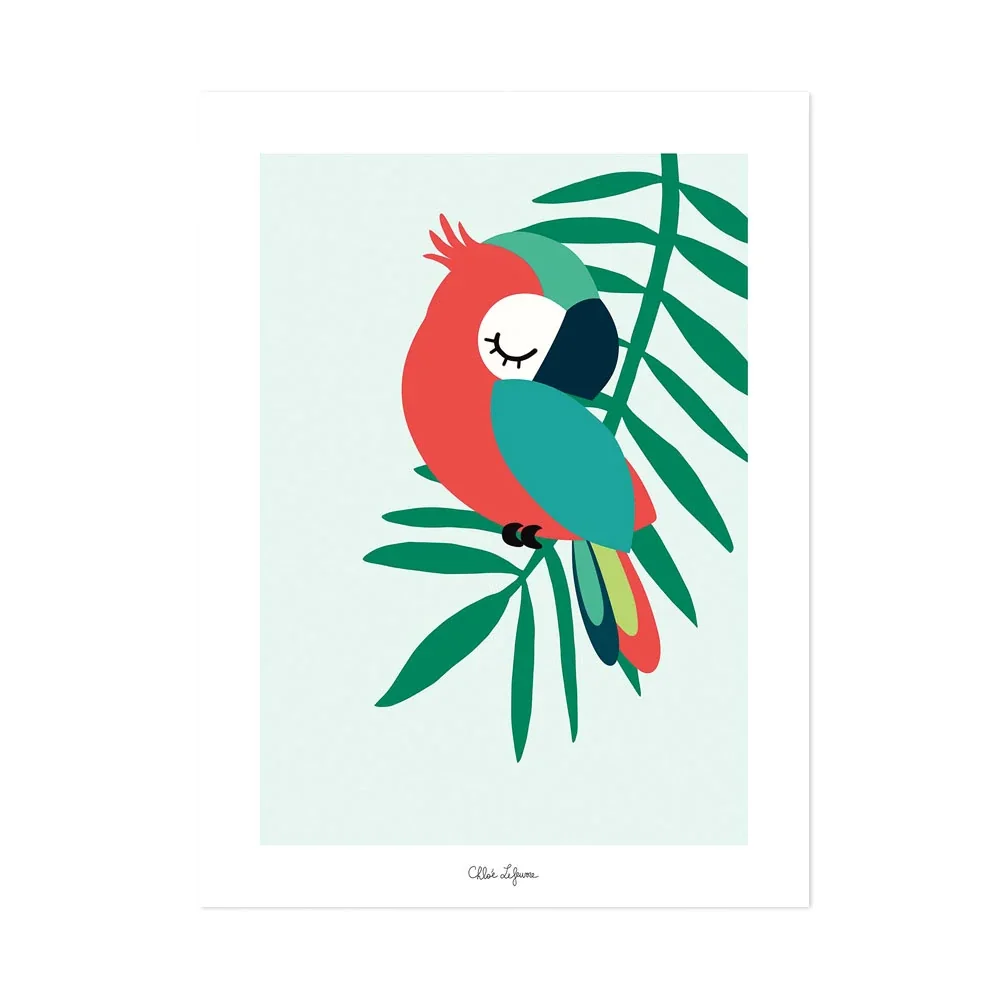 "Lilipinso Poster slapende papegaai groen rood image"