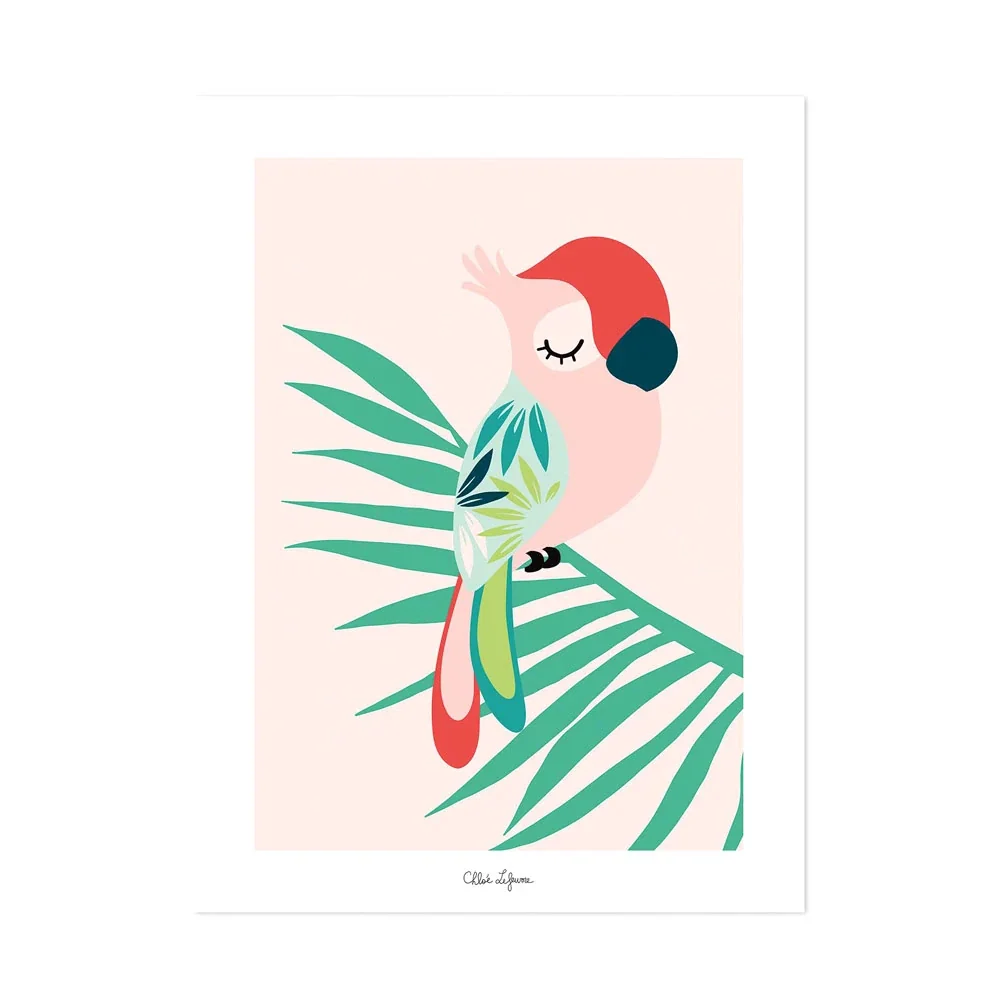 "Lilipinso poster slapende papegaai roze rood groen image"