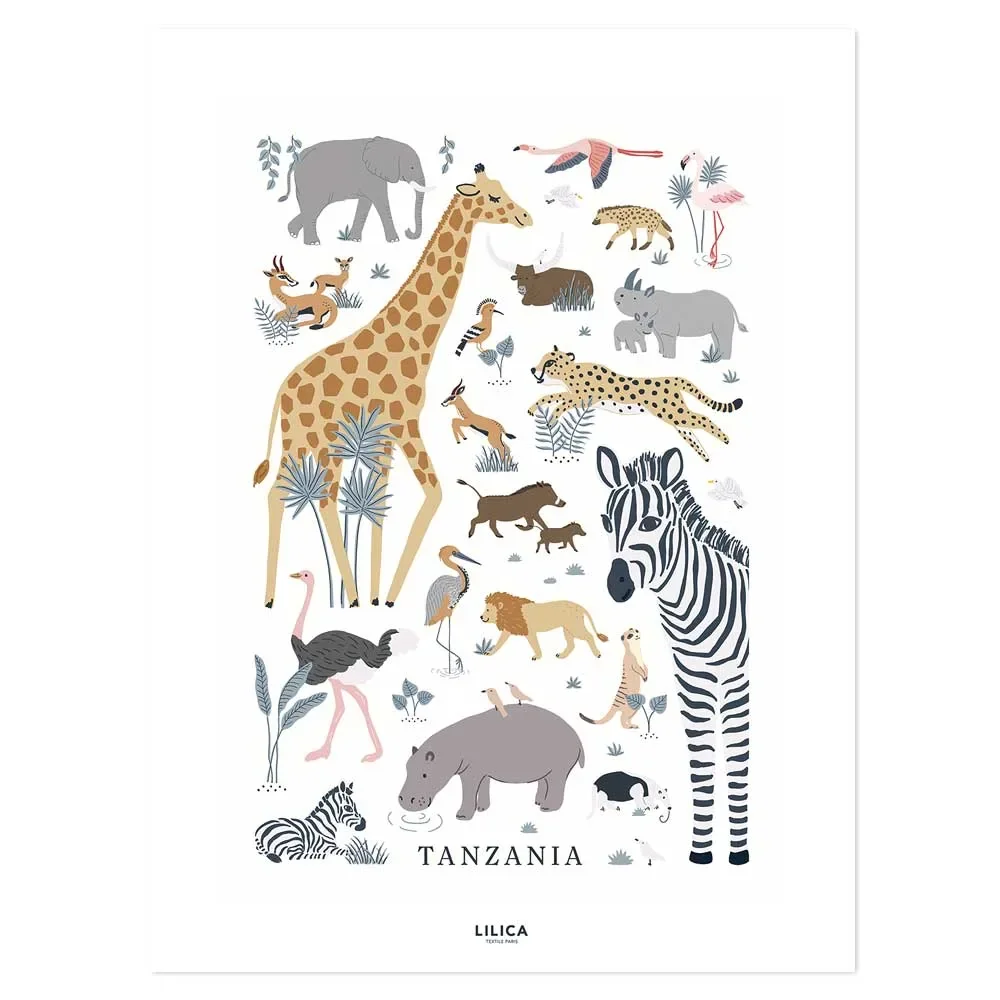 "Lilipinso poster savanne dieren bustel image"