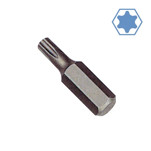 zeskant Bit T25 - Schroevendraaierbit, S2 Staal