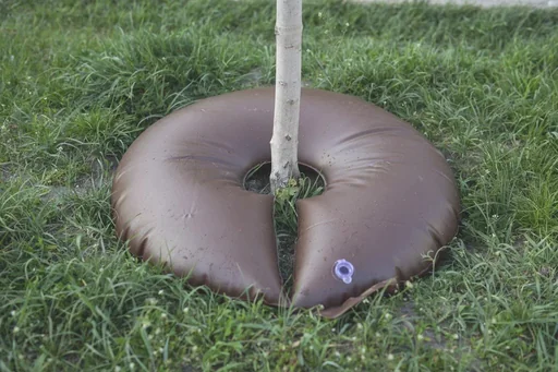 "Watering bag - 55 L image"