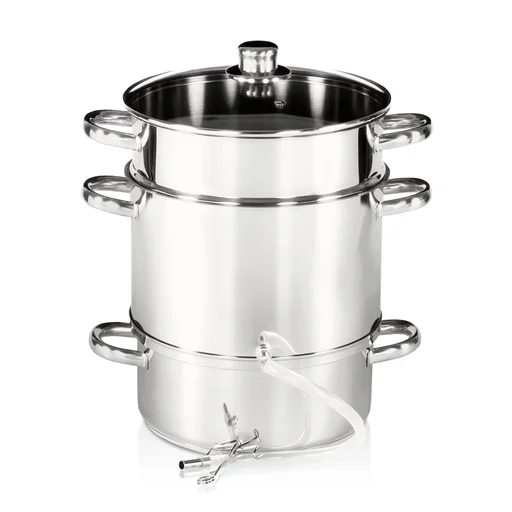 "Stainless steel fruit juicer image"