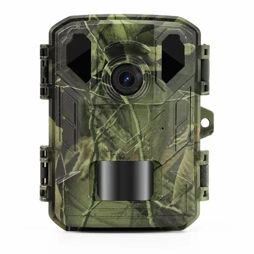 "Wildlife camera image"