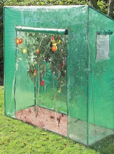 "Tomatenkas "Groot", ca. 200 x 77 x 170 cm, L x B x H image"