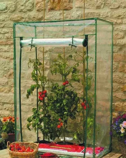 "Tomatenkas image"