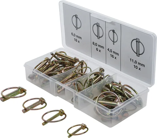"Assortiment klapsplinters, 50 stuks image"