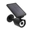 Solar outdoor light with motion detector and twilight sensor