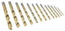 HSS spiraalboor set, titanium gecoat, 13-delig