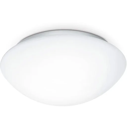 "Sensor lamp inside RS 10 L image"