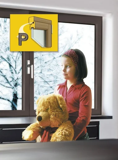 "Door/window seal, P-profile image"