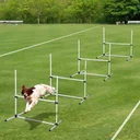 Agility hurdle set as a set of 4 white