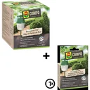 BIO Buxus Moth Trap - 1 STUK - incl. Box Moth Trap Refill Pack 3 pieces