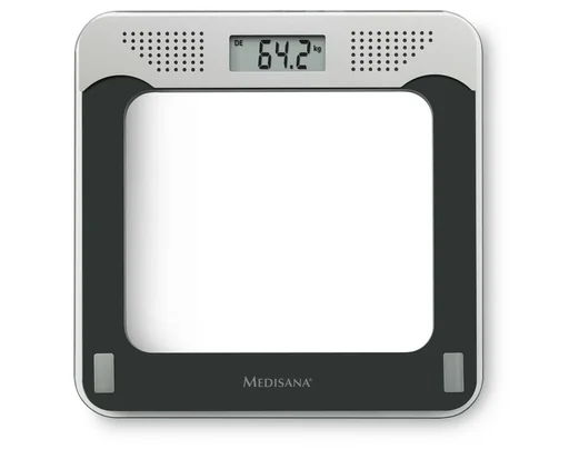 "Personal scale PS 425, talking image"