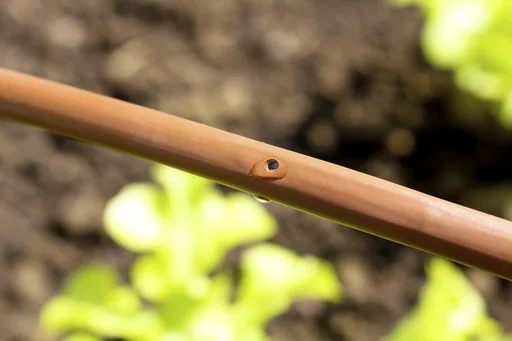 "Drip hose (DP30) image"