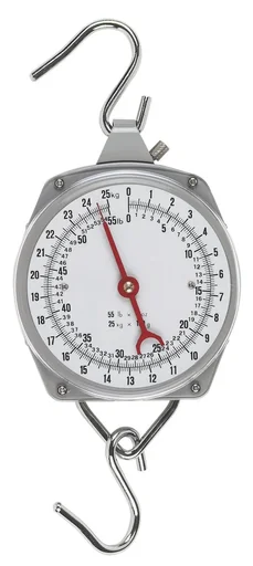 "Pointer scale up to 25 kg, line division 1 kg, 200 g + 100 g image"