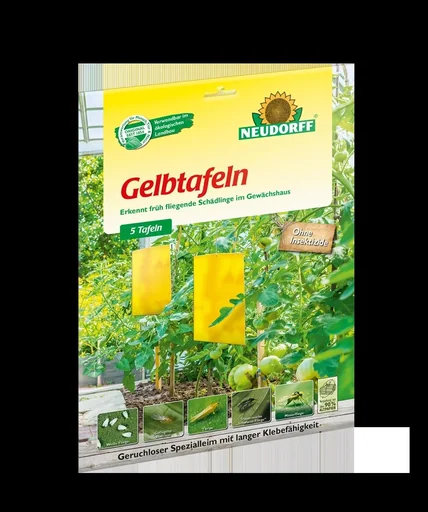 "Yellow boards large, pack of 5 image"