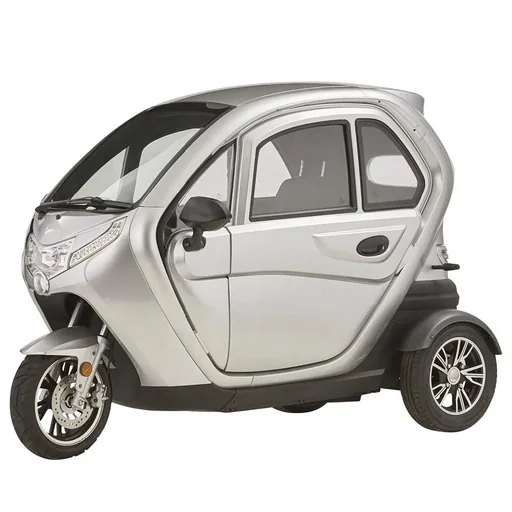 "3-wheel electric cabin vehicle eLizzy Comfort 25 km/h silver including on-site instruction image"