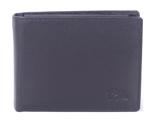 "Rapid Pay wallet image"