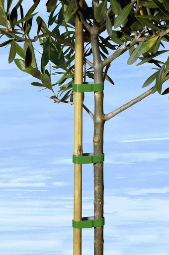 "Planting tape 5 m image"