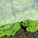 Cold frame fleece, white 1.5 x 10 m