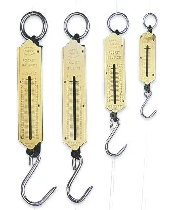 "Pocket spring scale, 25 kg image"