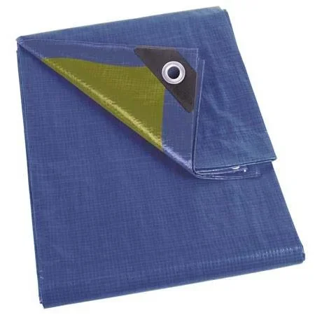 "Plane - Blau - 2x3m image"