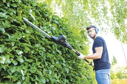 2 in 1 elektrische heggenschaar, met telescoopverlenging, 710 Watt, 
