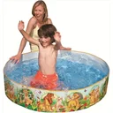 The Lion King Ground Swimming Pool