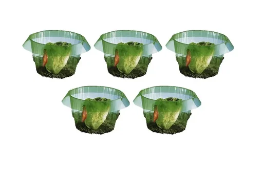"Salad rings 5 ​​pieces set image"