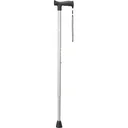 walking stick