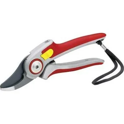 "Professional pruning shears RR 5000 image"