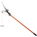 Telescopic shears with pruning shears