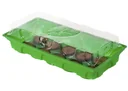 Indoor greenhouse with 10 coco-gel tablets