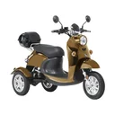 3-Rad E-Mobile Modena 25 km/h: 60V/20Ah Blei-Gel, brake