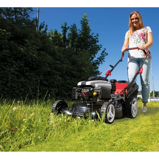"Petrol lawn mower MS224-53, 224cc, 53cm, 53cm image"