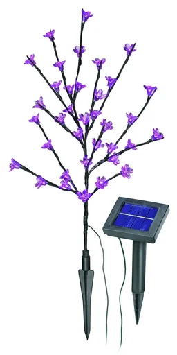 "Solar flowering shrub image"