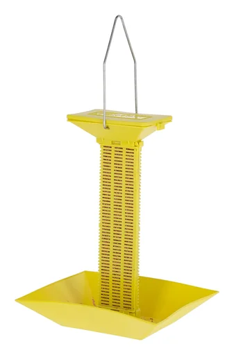 "Fly bait station image"