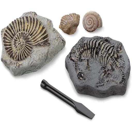 "Discovery Mindblow - Fossil Excavation - Excavation Set - 2 Pieces Archaeology image"