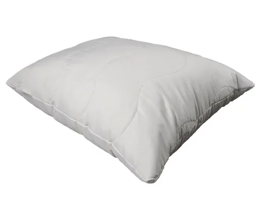 "Polar Pillow image"